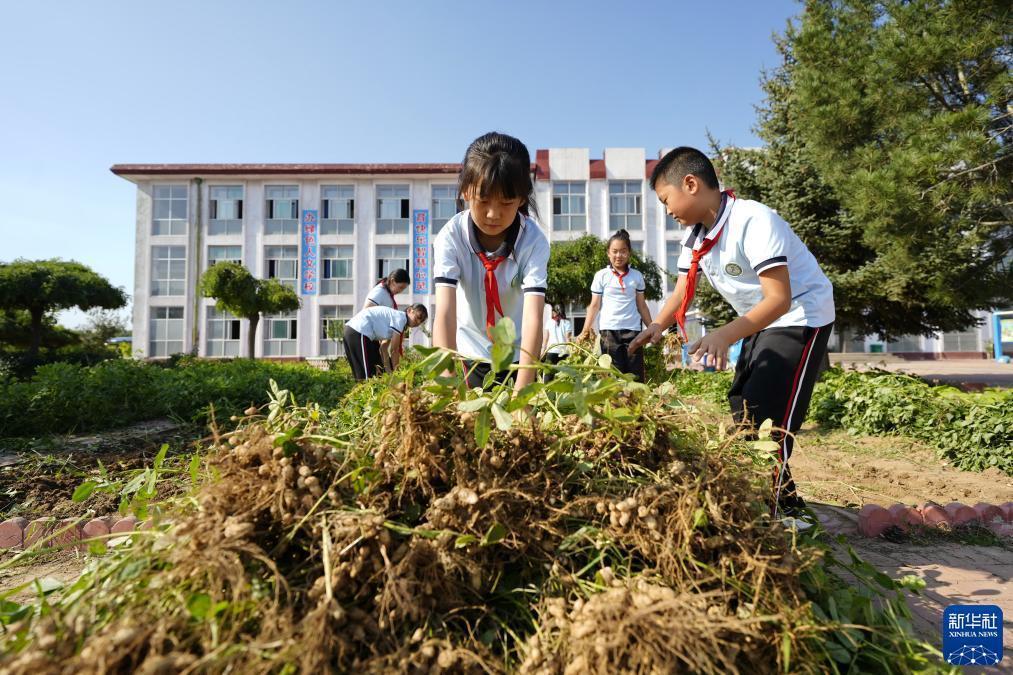 新时代赌城网址